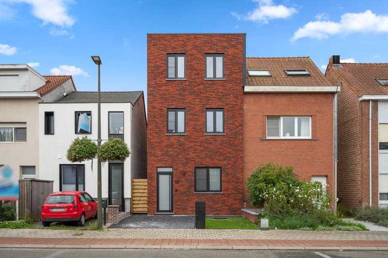 Sint-Lambertuslaan, Muizen